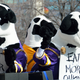 标题为“ Chick-Fil-A文化战争”的文章图片升级了